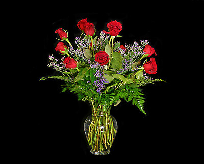 One Dozen Long Stem Roses